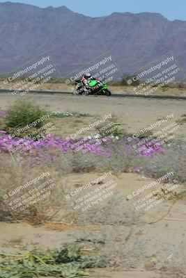 media/Feb-04-2023-SoCal Trackdays (Sat) [[8a776bf2c3]]/Turn 15 Inside Blooming (1050am)/